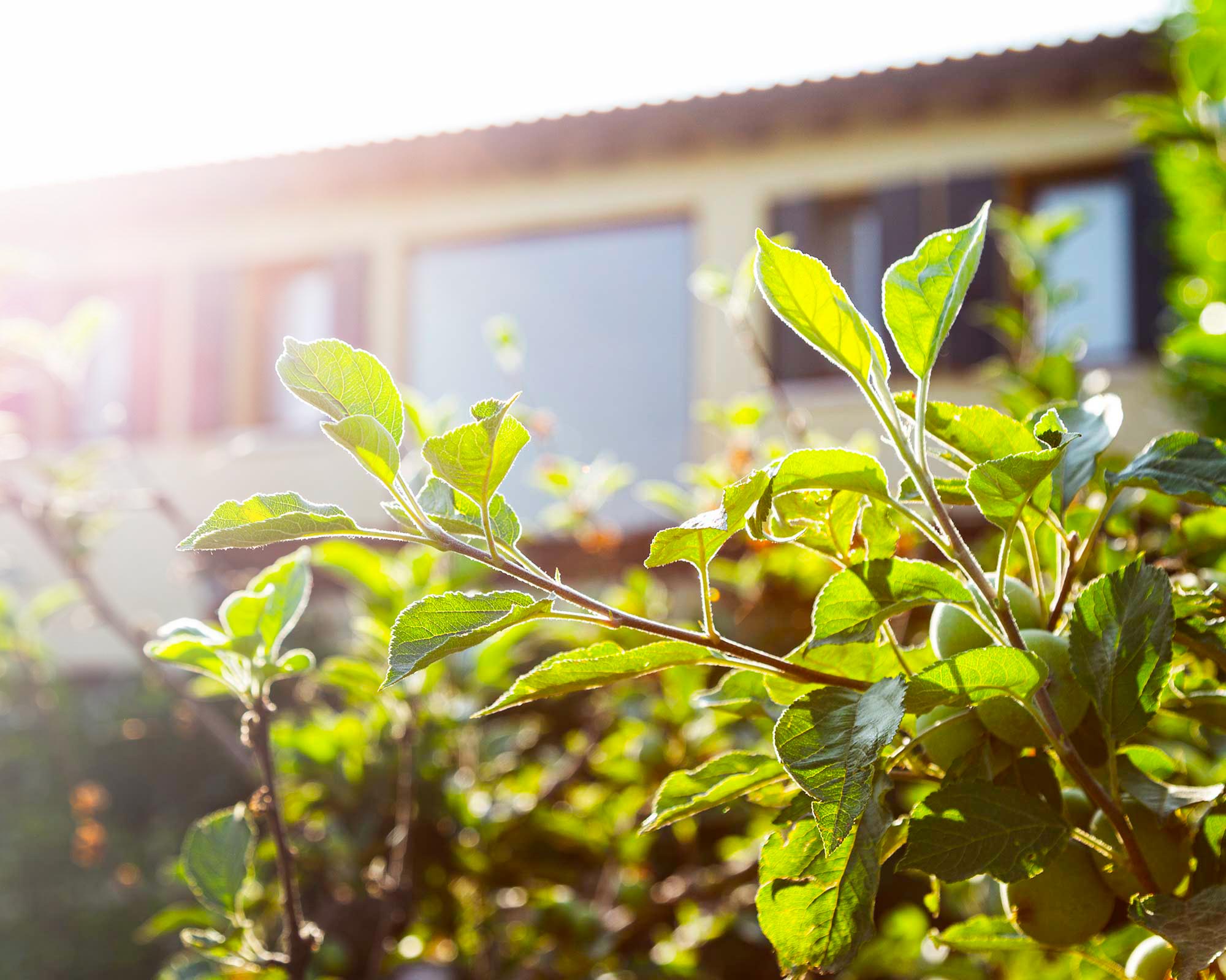 Rispetto per la natura
