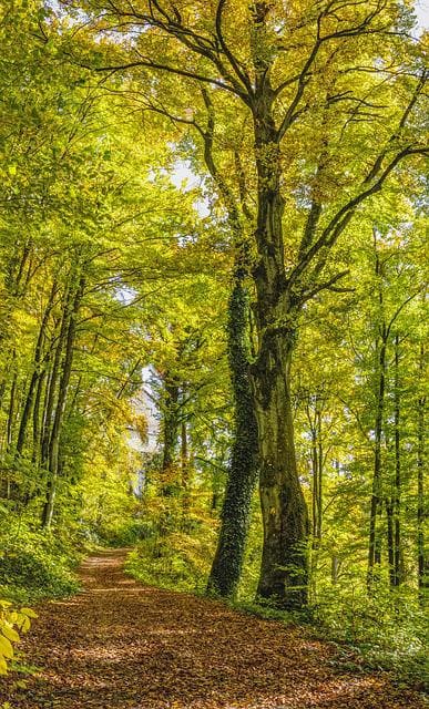 percorsi maser sentiero